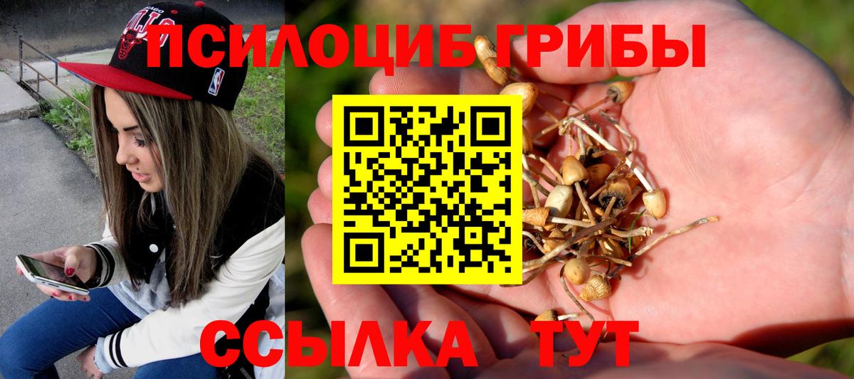 Галлюциногенные грибы мицелий  Вход с VPN  Полевской 